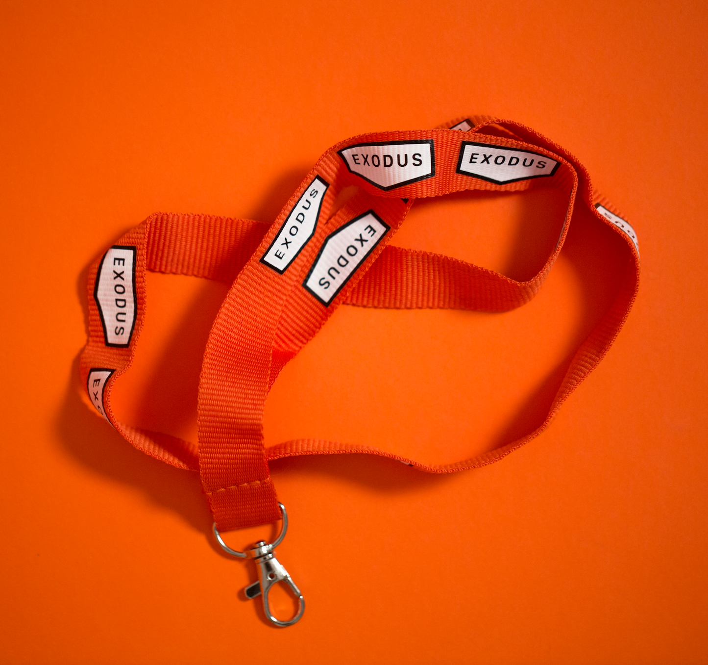 Lanyard